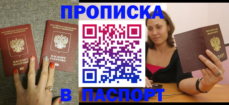 прописка паспорт в Новозыбкове